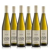 rheingau weinprobe 🍇 Holen Sie sich ein Stück Lebensfreude aus dem Rheingau nach Hause und genießen Sie deutschen Wein zum Anstoßen, Feiern, als Begleitung zum Dinner oder einfach für ein gepflegtes Tröpfchen Wein zur Movienight.