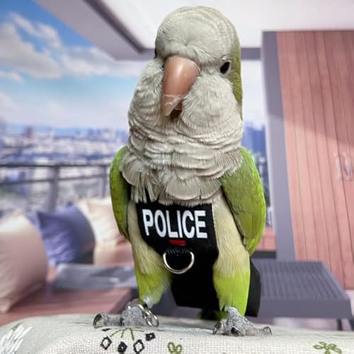 Arreio de fraldas para pássaros, roupa de voo de papagaio com coleira para papagaio, roupas voadoras