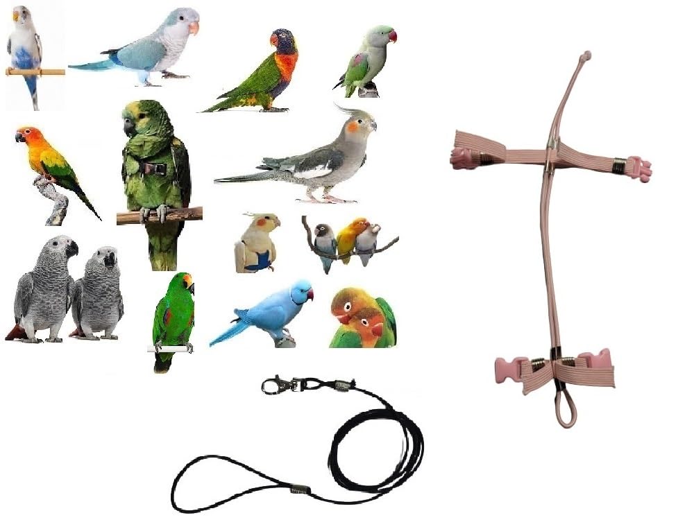 Arnés para agapornis cocorite y amazone Petorina rosa ajustable con cuerda elástica de 3mm