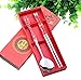 Sealike Metal Stainless Steel Chopsticks and Spoon Set Chinese Red Pattern with Stylus