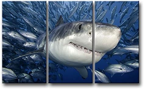 So Crazy Art 3 Piece Blue Wall Painting Shark Catching Fish Pictures Prints On Canvas Animal The Picture Decor Oil for Home Modern Decoration Print