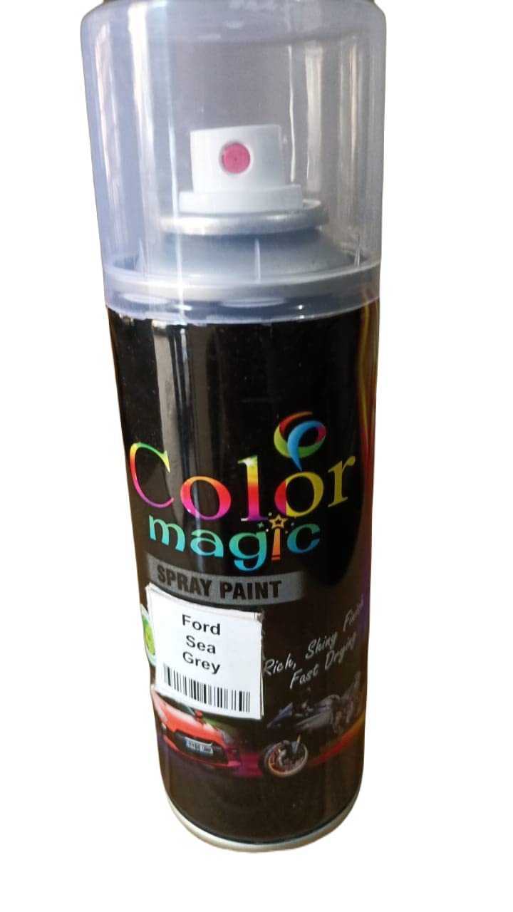 Color Magic FORD CAR SEA GREY SPRAY PAINT FOR ECO SPORT, FIGO (Pack of 1, 200ml) (FORD Sea Grey)