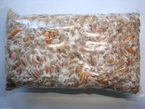 100 gr Royal Agaricus Bisporus"Seeds" Live Spores Mushrooms Fungus Portobello