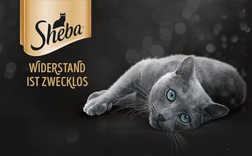 Sheba Katzenfutter Fresh Cuisine Taste of Tokyo – Thunfisch und Lachs