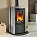 Produktbild La Nordica Kaminofen Ester BII mit Natursteinverkleidung (7,5 kW)
