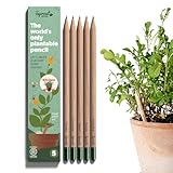 🖉 WHAT’S IN THE BOX – Die Sprout Küchen-Edition enthält insgesamt 5 umweltfreundliche, biologisch abbaubare und hochwertige Sprout Bleistifte mit zersetzbaren Zellulose-Samenkapseln für Kräuter, Obst und Gemüse. Diese Edition enthält die folgenden Samenarten: Gurke, Melone, Rucola, Petersilie und Aubergine.