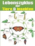 Lebenszyklus der Tiere und Insekten Malbuch: Wunderschöne Ausmalbilder für kinder, Jungen und Mädchen. - Shim Publications 