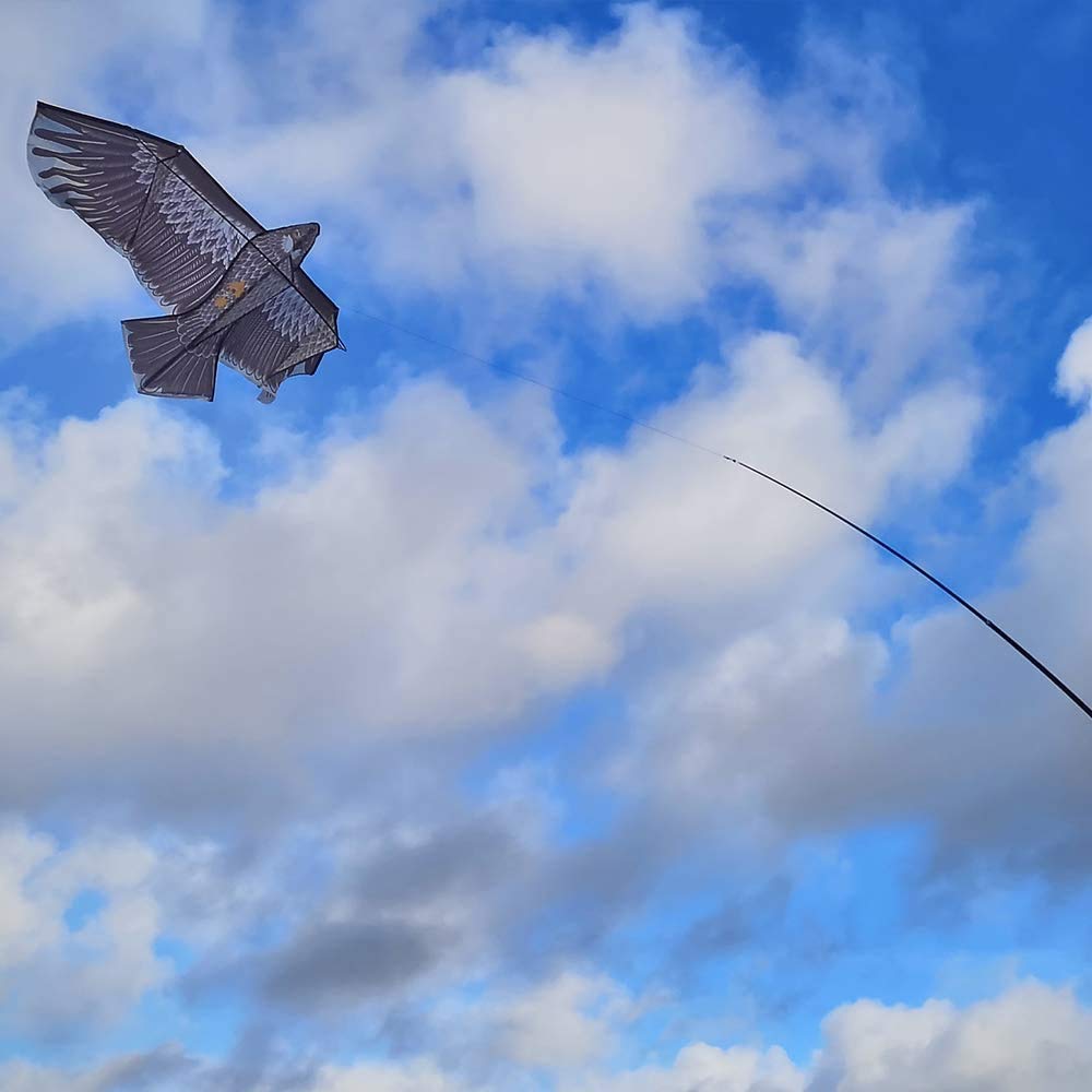 BricoLoco Lote 2 uds. Cometa halcón de Vela espantapájaros para huerto y jardín. Espantapájaros eólico. Ahuyentador, Anti Palomas y Aves. Ideal Parcelas 500 Metros o Mayores.