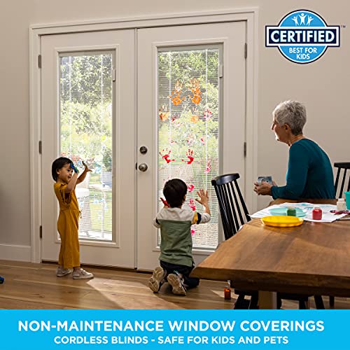 Odl Enclosed Blinds For Doors In Double Pane Tempered Clear Glass - Outer Frame Measurement 24" X 38" - Door Window Shade For Privacy And Security - Easy To Install, Use & Maintain - White Frame Kit #TOP2