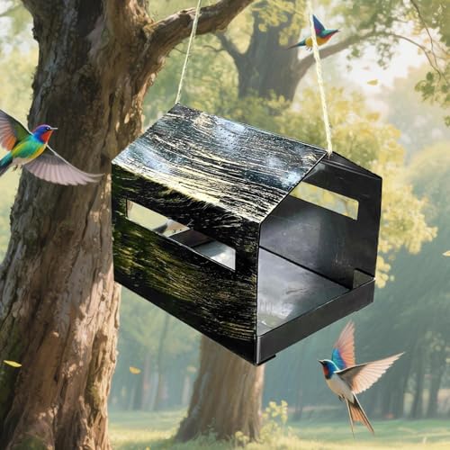 Mangeoire compacte pour petits oiseaux à suspendre près d'une fenêtre - 4
