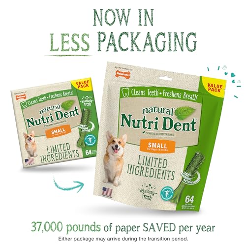Image of Nylabone Nutri Dent Dog Dental Chews - Natural Dog Teeth Cleaning & Breath Freshener - Dental Treats for Dogs - Fresh Breath Flavor, Small (64 Count)