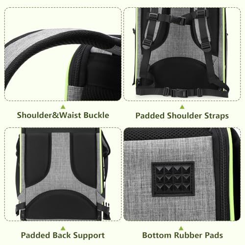 Image of Pecute Bird Carrier Backpack, Parrots Bird Backpack with Visible Window, Adjustable Height Standing Perch, Feeding Cans, Waterproof Pads, Lightweight Foldable Birds Travel Cage for Hiking Camping