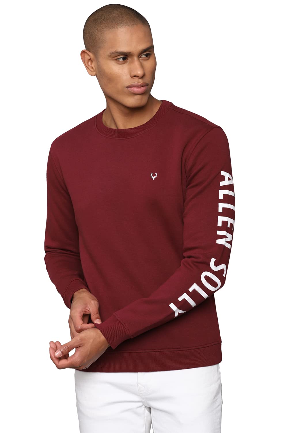 allen solly Men Maroon Crew Neck Full Sleeves Casual Sweatshirt-picture-52