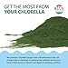Sun Chlorella Powder Green Algae Superfood Supplement Supports Whole Body Wellness Immune Defense, Gut Health & Natural Energy Boost - Chlorophyll, B12, Protein, Non-GMO - 30 Packets