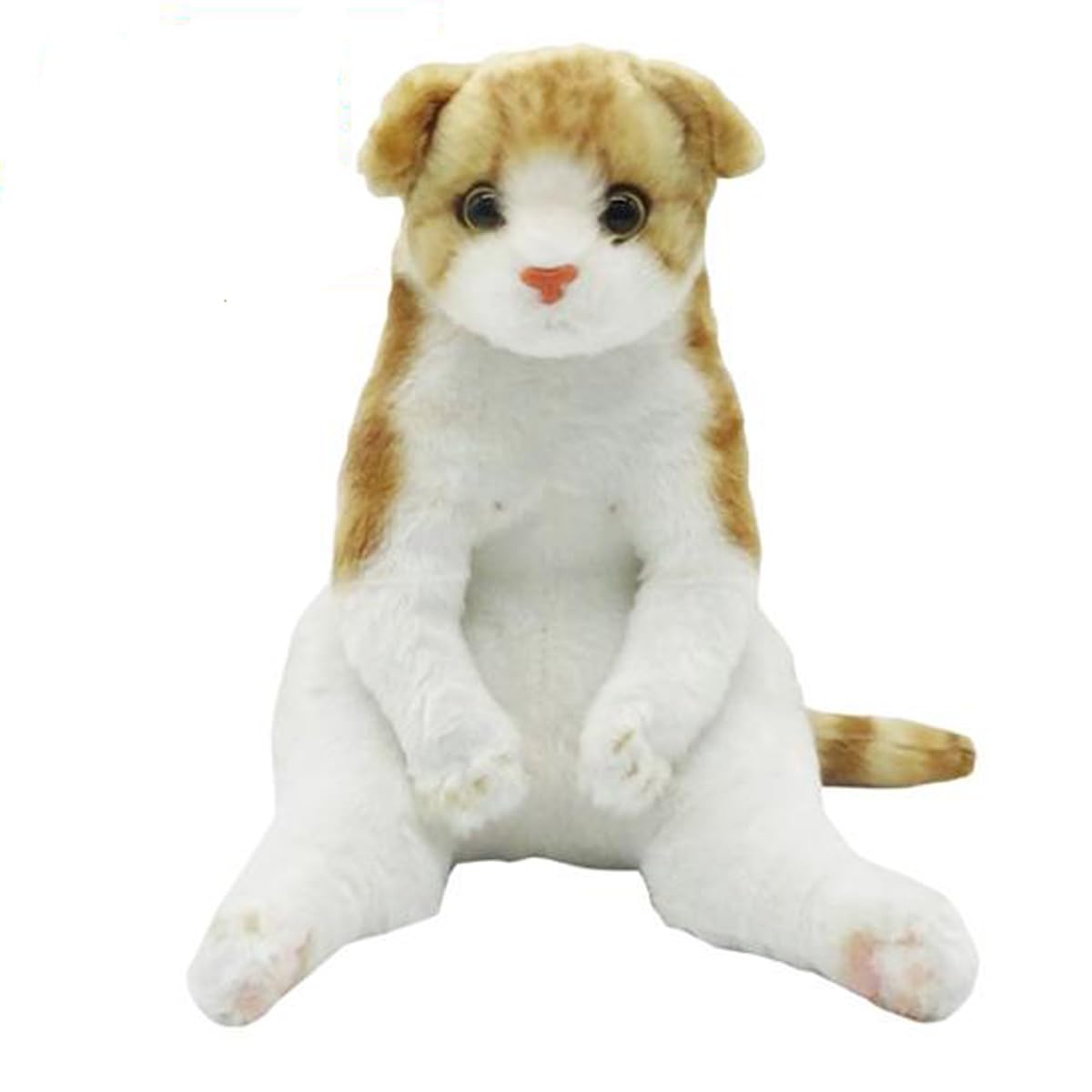 Amazon.co.jp: すわっちぃZoo にゃんこ スコティッシュフォールド 猫の