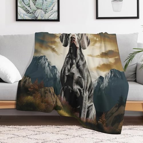Manta de franela para perro 150x200 cm suave y cálida para el sofá 3