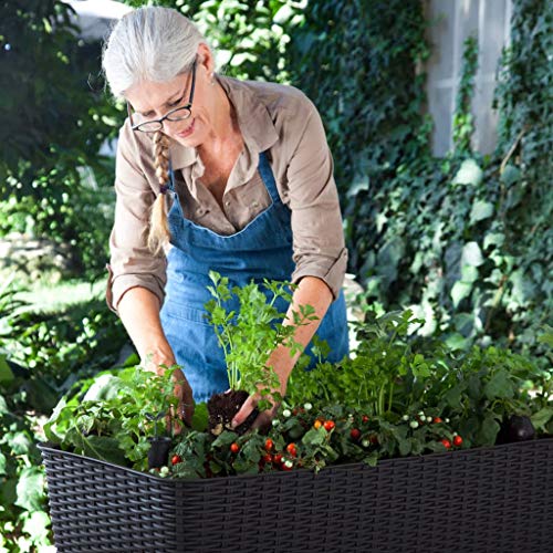Foto von Keter Easy Grow modernes Hochbeet, grau, inkl. Bewässerungssystem, Rattanoptik, passend für Balkon, Terrasse oder Garten
