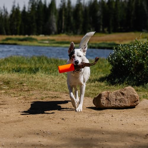 Carhartt Pet Pet Toys, Retrieving Bumper, Large, OS, Hunter Orange