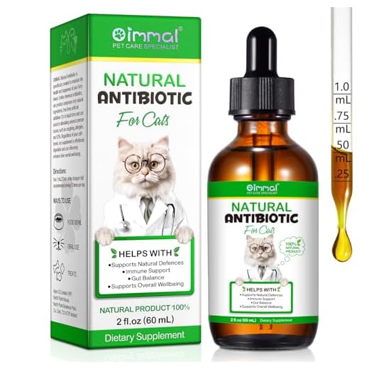 Entzündungshemmendes Katzenantibiotikum