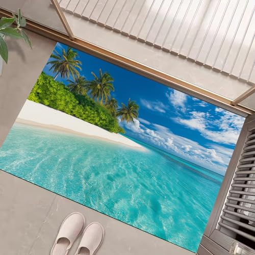 Paillasson intérieur extérieur résistant lavable pour entrée de maison
