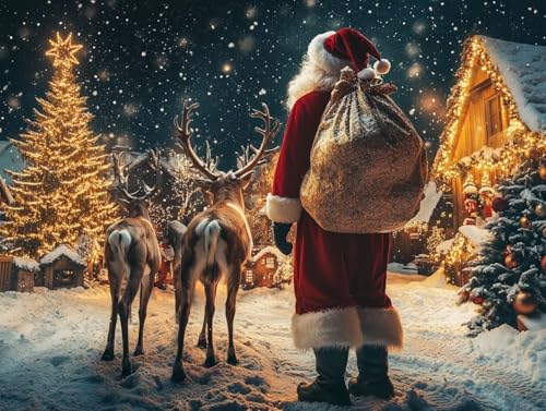 Peinture par Numéro Noël Idée Cadeau Idéale pour Activité Créative Adulte
