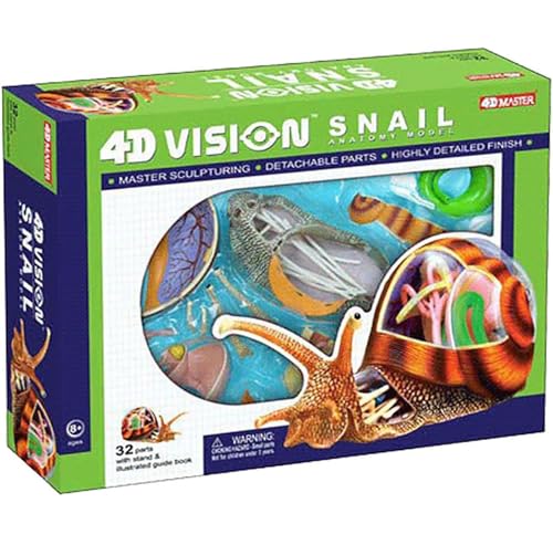 Fgtgwfc 20972 4D Snails Anatomy Skeleton Model, Animal Anatomy 32 Bodies And Detachable Parts Of The Model Anatomical Model thumb #2