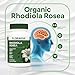 Floraviva Rhodiola Rosea Capsules 500mg - Natural Adaptogen Supplement for Stress Support, Mental Focus & Energy - Non-GMO