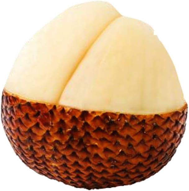 Nema Snake Fruit Seeds-20Pcs