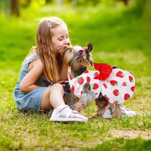 5 Pack Girl Dog Clothes Floral Summer Puppy Princess Bowknot Dog Dresses for Small Dogs Girl Clothes Cute Outfits for Boys Girls Pets Cats Dogs (Medium, Floral Summer) - Image 3