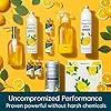 Grove Co. Multi-Purpose Cleaner, Refill Concentrate (6 x 1 Fl Oz) Plant-based Household Cleaning Supplies, Ammonia & Chlorine Free, No Plastic Waste, Lemon & Eucalyptus Scent, Total 3 x 2 Pack Refills #5