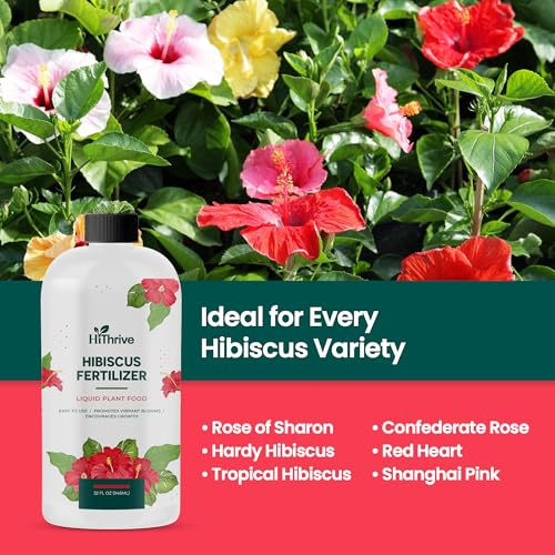 Fertilizante líquido Hibiscus 32 oz para plantas de flores miniatura 5