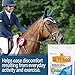 Absorbine Bute-Less Comfort & Recovery Support Supplement, Provides Long-Term Comfort, Gentle on Stomach, Includes Devil’s Claw, Vitamin B-12, Yucca, 10 lb / 160 Day Supply