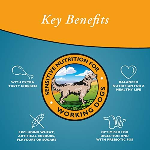 Arkwrights Wheat-Free Sensitive Dry Dog Food 15kg with Extra Chicken - Adult Complete Dry Dog Biscuits - Sensitive Nutrition for Working Senior Dogs