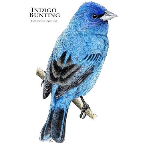 Taza de cerámica 11 oz CafePress Indigo Bunting miniatura 3