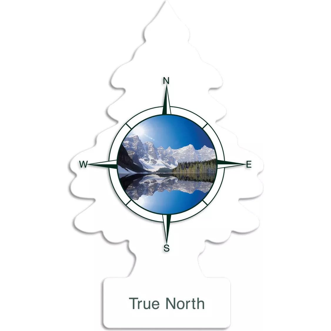 LITTLE TREES Car Air Freshener | Hanging Paper Tree for Home or Car | True North | 3 Pack