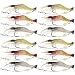 Goture Soft Lures Shrimp Bait Set, Freshwater/Saltwater, Trout Bass Salmon, 12 Piece