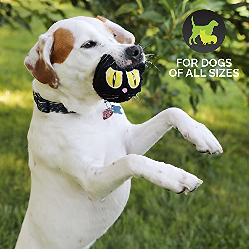 Hyper Pet Bumpy Palz 2-In-1 Interactive Dog Toys, Dog Chew Toys & Dog Puzzle Toy (Plush Dog Toy Exterior & Fun Squeaky Dog Ball Dog Toy Interior For Large Dogs, Medium Dogs & Small Dogs) Black Cat #TOP2