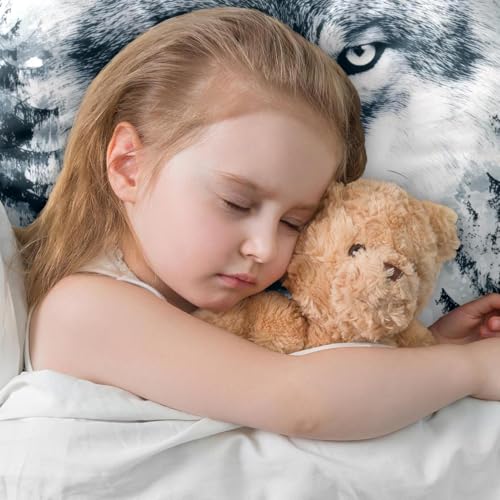 Fundas de almohada decorativas modernas para renovar el confort de tu sofá 6