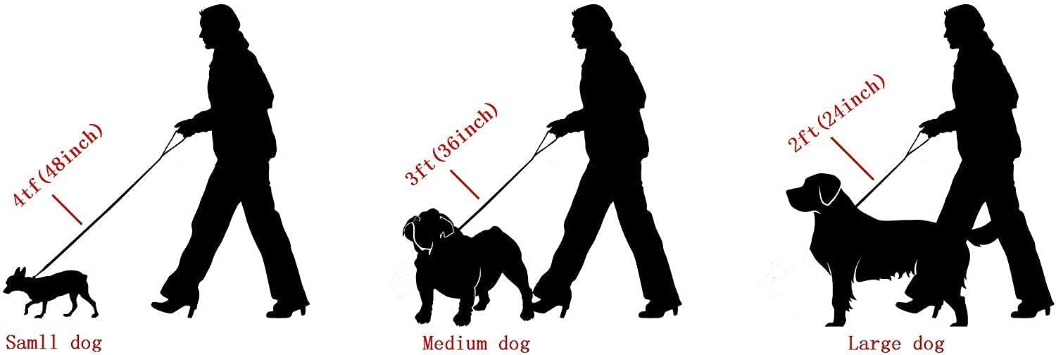 Strong Gold/Silver Dog Chain Leash 3FT 4FT 5FT Stainless Steel 12mm Curb Cuban Link Dog Leash Training Walking with Comfortable Genuine Leather Handle for Large, Medium Small Dogs (Silver, 4FT)