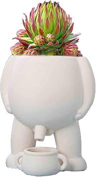 Piss Pot Planter, Piss Pot for Plants,Novelty Peeing Planter Pot,Peeing Planter Pot,Peeing Funny Vase,Home Decor,Funny Gift Idea,Succulent, Funny Vase Home Decor Color 1, Size 12x13cm
