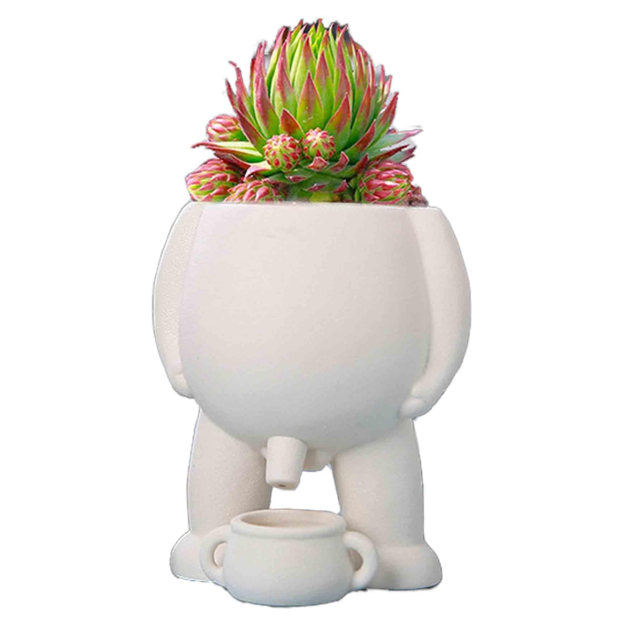Coobaa Piss Pot Planter, Piss Pot For Plants,Novelty Peeing Planter Pot,Peeing Planter Pot,Peeing Funny Vase,Home Decor,Funny Gift Idea,Succulent, Funny Vase Home Decor (Color : 1, Size : 12X13cm)