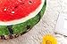 HYSEAS Round Throw Pillows 14 Inch Watermelon, 3D Print Decorative Plush Funny Fruit Stuffed Cushions Seat Pad for Couch, Chair, Floor, Sofa