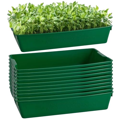 Gärtnerbox 58x32x11 cm 10er Set Pflanzschale Anzuchtwanne Saatschale Grün