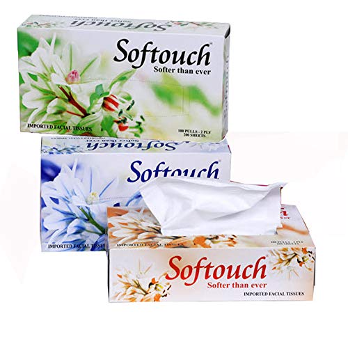 Buy SofTouch 2 Ply Face tissue paper 100 pulls 200 sheets Each Box Set