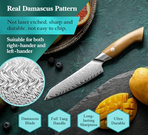 HEZHEN Kitchen Utility Knife, 5.5 Inches, 67 Layers Damascus Steel Small Chef Knife, Multifucational Paring Knife for Chefs and Home Cooking, Ultra-Sharp Blade with Linen Micarta Handle, Gift Packing - Image 3