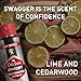 Old Spice Dry Spray Antiperspirant Deodorant for Men, 24/7 Sweat & Odor Protection, 24/7 Sweat Defense & Lasting Freshness, Swagger with Cedarwood Scent, 4.3 oz (Pack of 2)