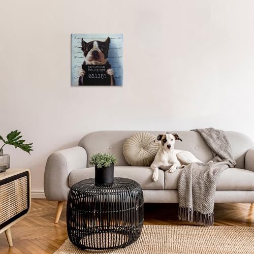 Image of Boston Terrier Mugshot Humor, 24 x 24 Inch Canvas Wall Art | Stupell Industries . By Lucia Heffernan . Ready to hang . Funny pet decor for living room or office . Made in USA