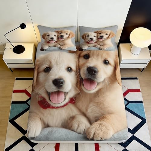 Drap Housse Impression 3D Chien Golden Retriever Microfibre Poche Profonde Stable Housse de Matelas Golden Retriever Lavable pour Chambre 90x200x25cm