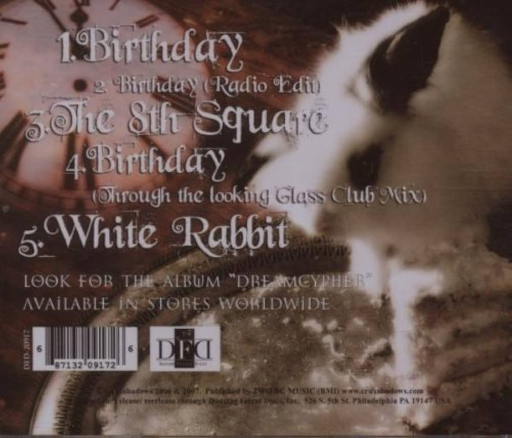 ミュージシャン Ryochan The Birthday Box The Birthday – LIVE DVD / Bu-ray「LIVE AT NIPPON BUDOKAN