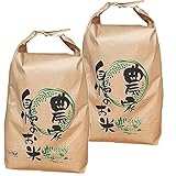 はえぬき 山形県産 令和7年度産 (玄米, 20kg) (玄米のまま(10kg×2袋))